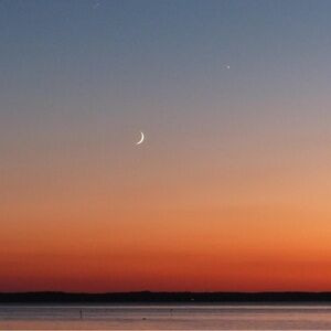 Meet your Posher, Terrie